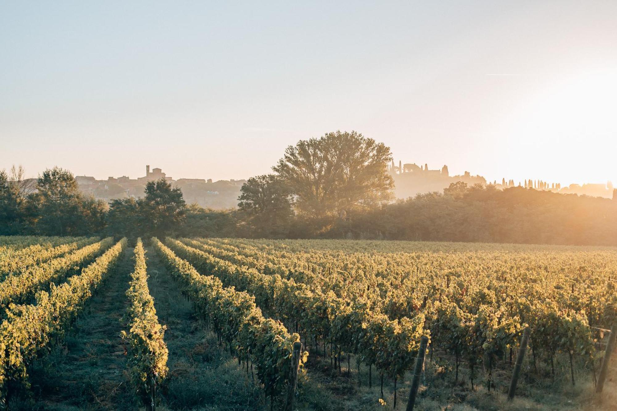Borgo San Vincenzo Hotel Montepulciano Stazione Eksteriør billede